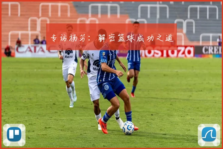 专访杨芳：解密篮球成功之道