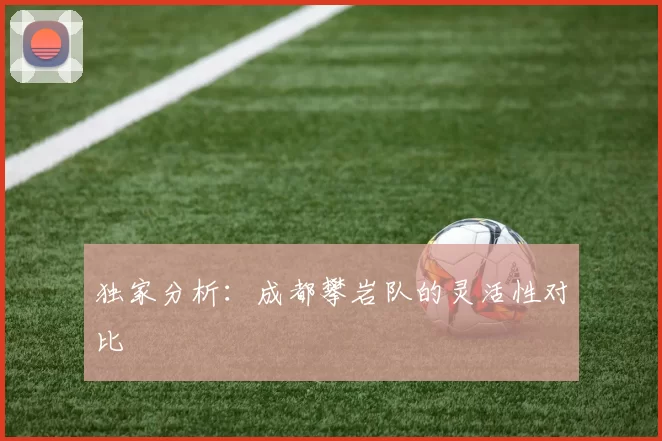 独家分析：成都攀岩队的灵活性对比